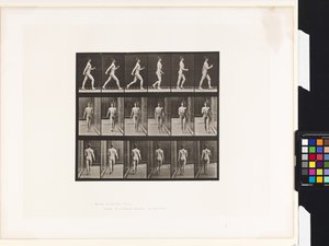 Planche 10. Marche - Eadweard Muybridge
