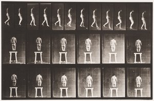 Planche 118. Descendre une pente - Eadweard Muybridge