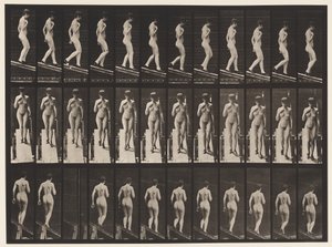 Planche 119. Descendre une pente, main droite sur la poitrine (chaussures) - Eadweard Muybridge
