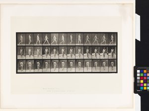 Planche 11. Marche - Eadweard Muybridge