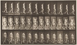 Planche 121. Descente d
