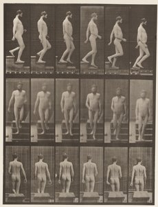 Planche 127. Descendre les escaliers, 1872-1885 - Eadweard Muybridge