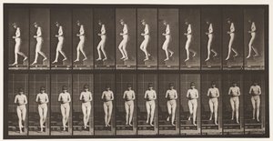 Planche 128. Descendre les escaliers, mains jointes, 1872-1885 - Eadweard Muybridge