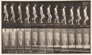 Planche 129. Descendre des escaliers, mains jointes - Eadweard Muybridge