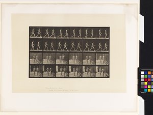 Planche 12. Marche - Eadweard Muybridge