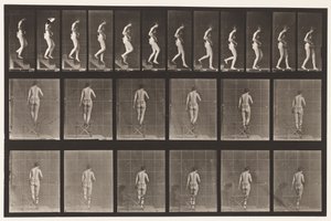 Planche 130. Descendre les escaliers, mains jointes, 1872-1885 - Eadweard Muybridge
