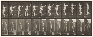Planche 132. Descendre les escaliers, se tourner pour regarder autour et agiter la main - Eadweard Muybridge