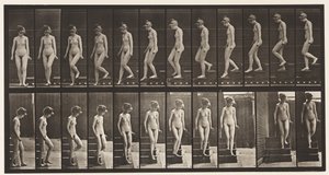 Planche 137. Descendre les escaliers, se retourner - Eadweard Muybridge