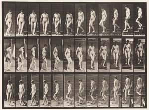 Planche 138. Descendre les escaliers en tournant; pichet dans la main gauche - Eadweard Muybridge