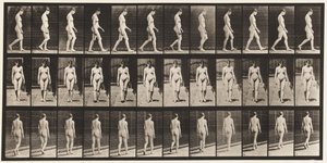 Planche 13. Marche, 1872-1885