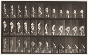 Planche 149. Descendre les escaliers ; se pencher pour soulever un pichet, 1872-1885 - Eadweard Muybridge