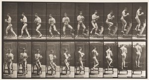 Descente d