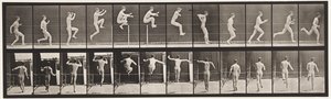 Saut; Course droite, saut en hauteur - Eadweard Muybridge