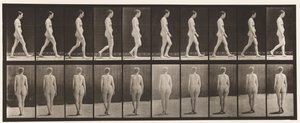 Planche 15. Marcher - Eadweard Muybridge