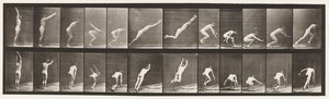 Planche 162. Saut; Saut en longueur - Eadweard Muybridge