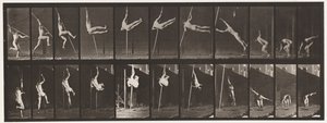 Saut; Saut à la perche, 1872-1885 - Eadweard Muybridge
