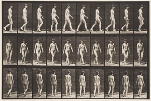 Marcher, 1872-1885 - Eadweard Muybridge
