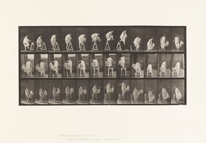 Monter sur un Chevalet; Sauter en Bas, Tourner, 1885 - Eadweard Muybridge