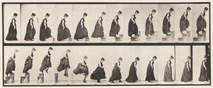 Planche 173. Montée des marches et sautant, 1885 - Eadweard Muybridge