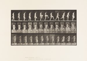 Passer par-dessus une clôture - Eadweard Muybridge
