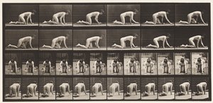 Planche 182. Ramper sur les mains et les genoux - Eadweard Muybridge