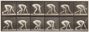 Planche 183. Marcher sur les mains et les pieds - Eadweard Muybridge