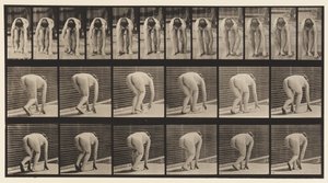 Planche 184. Marcher sur les mains et les pieds - Eadweard Muybridge