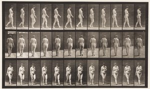 Planche 18. Marche, main gauche sur l