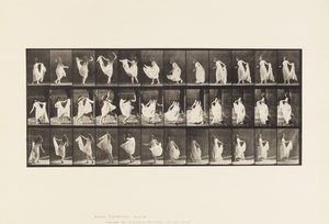 Planche 193. Danse (fantaisie) - Eadweard Muybridge