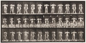 Planche 196. Danser la valse, deux modèles - Eadweard Muybridge