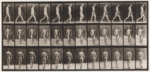 Planche 1. Marche