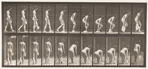 Planche 202. Laisser tomber et ramasser un mouchoir - Eadweard Muybridge