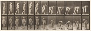 Planche 204. S