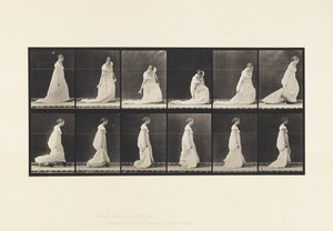 Planche 207. Courbure et levage du train, 1885 - Eadweard Muybridge
