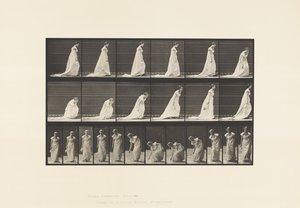 Planche 209. Se penchant et soulevant un mouchoir, 1885 - Eadweard Muybridge