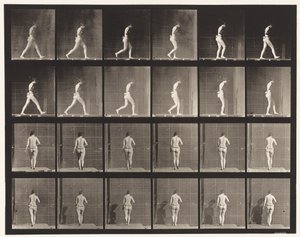Planche 20. Marche, coude droit plié - Eadweard Muybridge