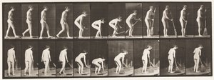 Plaque 219. Se pencher et soulever un balai et balayer - Eadweard Muybridge