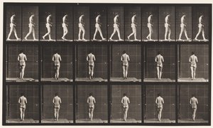 Planche 21. Marche, les deux coudes pliés - Eadweard Muybridge