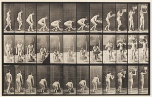 Planche 221. Se pencher et soulever un panier de 12 lb à la tête - Eadweard Muybridge