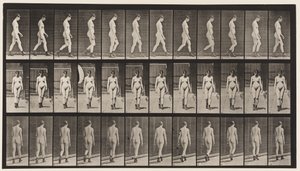 Planche 22. Marche, avec des bottes à talons hauts, 1872-1885 - Eadweard Muybridge