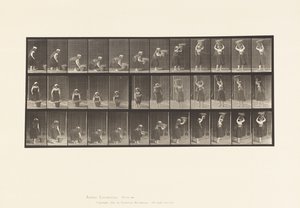 Planche 230. Soulevant un panier de 30 lb du sol à la tête, tournant, 1885 - Eadweard Muybridge