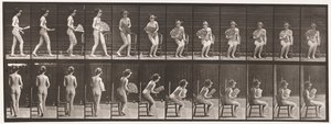 Planche 237. S
