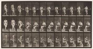 Planche 238. Assis sur une chaise, croisant les jambes, buvant une tasse de thé - Eadweard Muybridge
