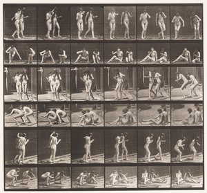 Planche 245. Deux modèles tournant autour assis par terre - Eadweard Muybridge