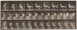 Planche 247. S