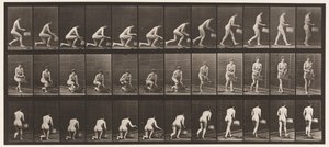 Planche 251. S