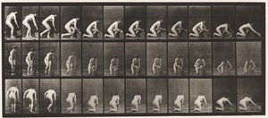 Planche 252. Agenouillé sur le genou droit et frottant le sol, 1872-1885 - Eadweard Muybridge