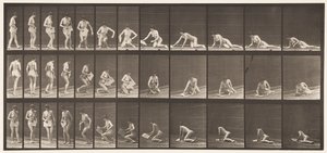 Planche 256. Allongé sur le sol et lisant, 1872-1885 - Eadweard Muybridge