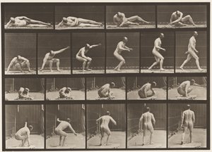 Planche 258. Se lever du sol et partir - Eadweard Muybridge