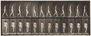 Plaque 25. Marcher avec des chaussures à talons hauts - Eadweard Muybridge